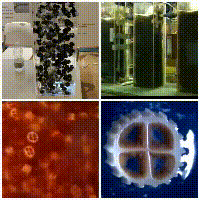 image021.gif