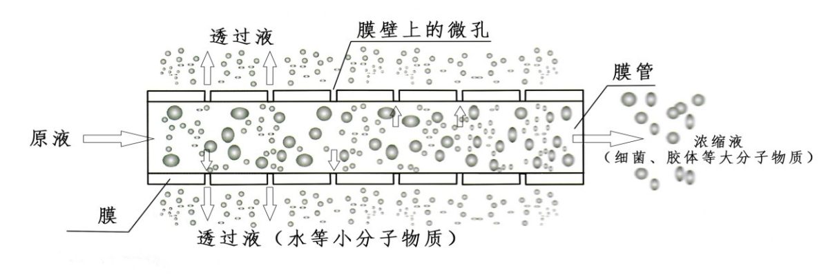 什么是膜生物反应器?